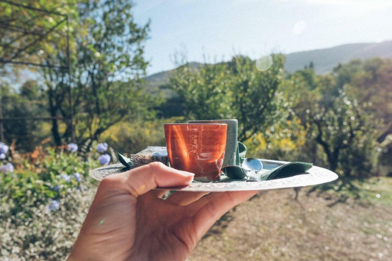 Fontanaro Farm And Culinary School Villa Paciano Екстериор снимка